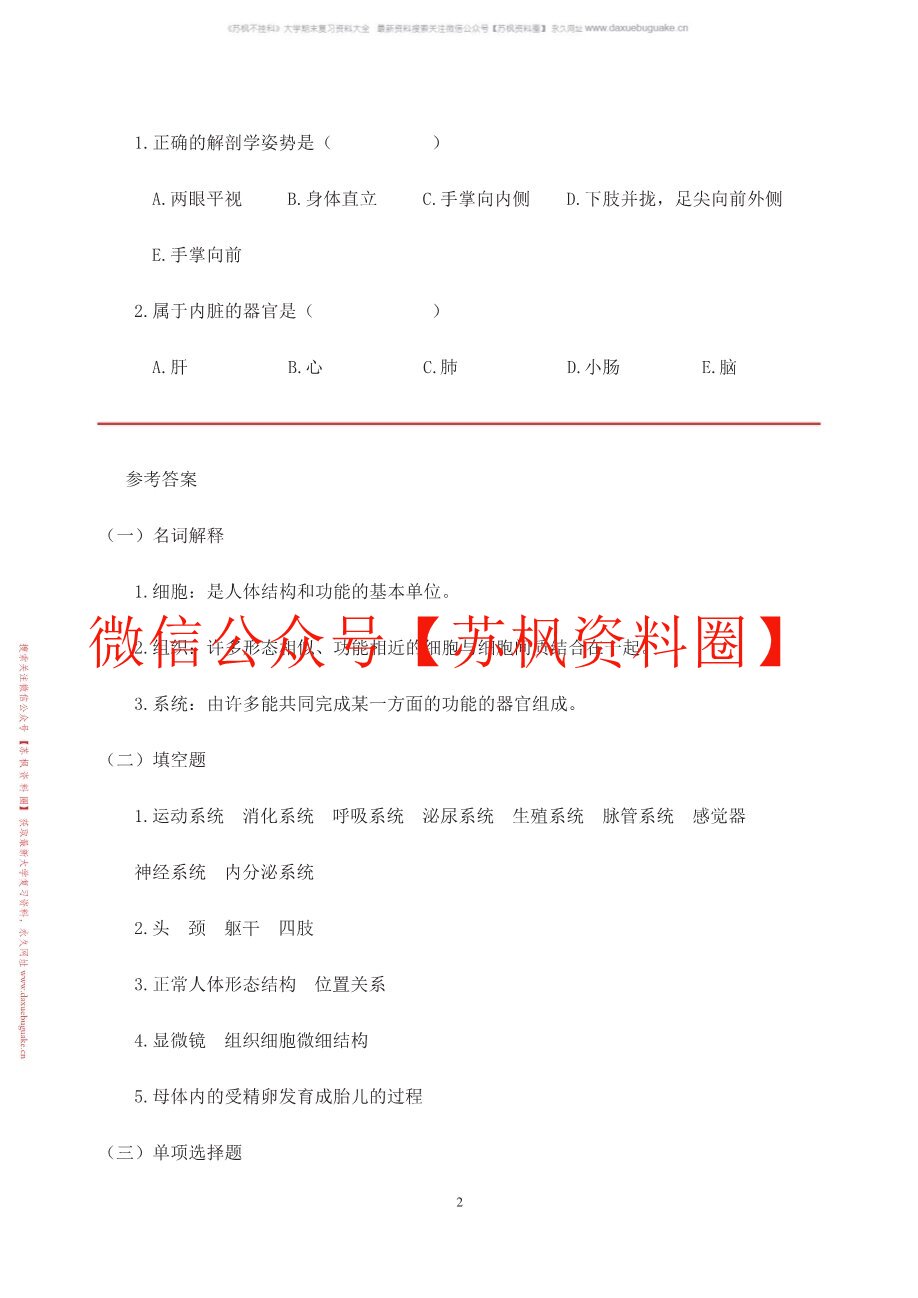 人体形态学(更新)